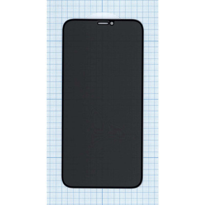 Защитное стекло Privacy 
